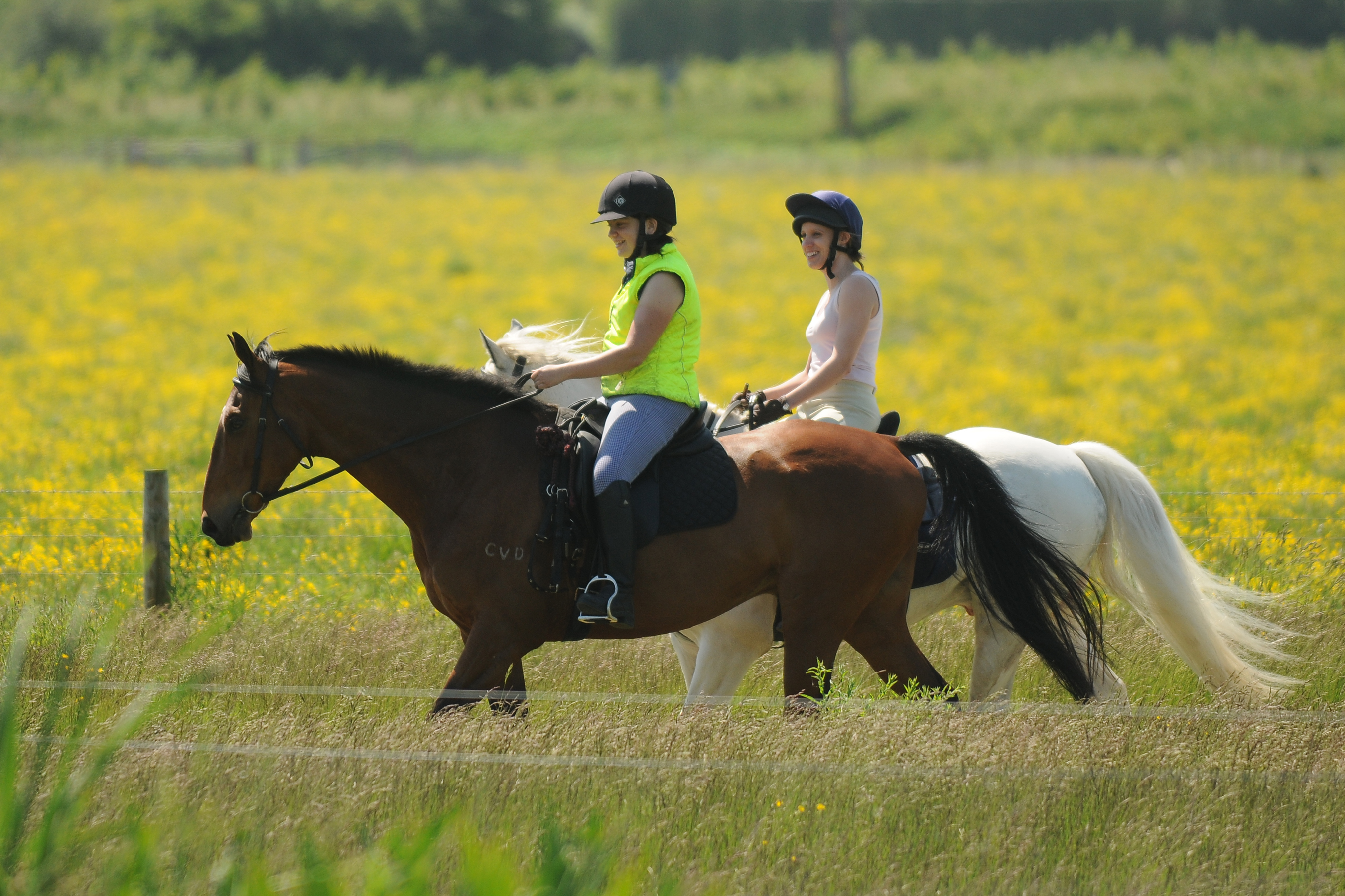 Horse riding at Friston Forest Forestry England